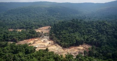 Garimpo ilegal na Terra Indígena Kayapó, no estado do Pará, em 2017. — Foto: Felipe Werneck/Ibama