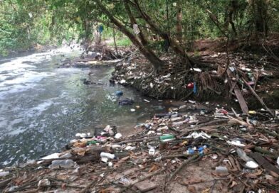 Mindu em perigo: descaso ameaça um dos mais importantes mananciais de Manaus
